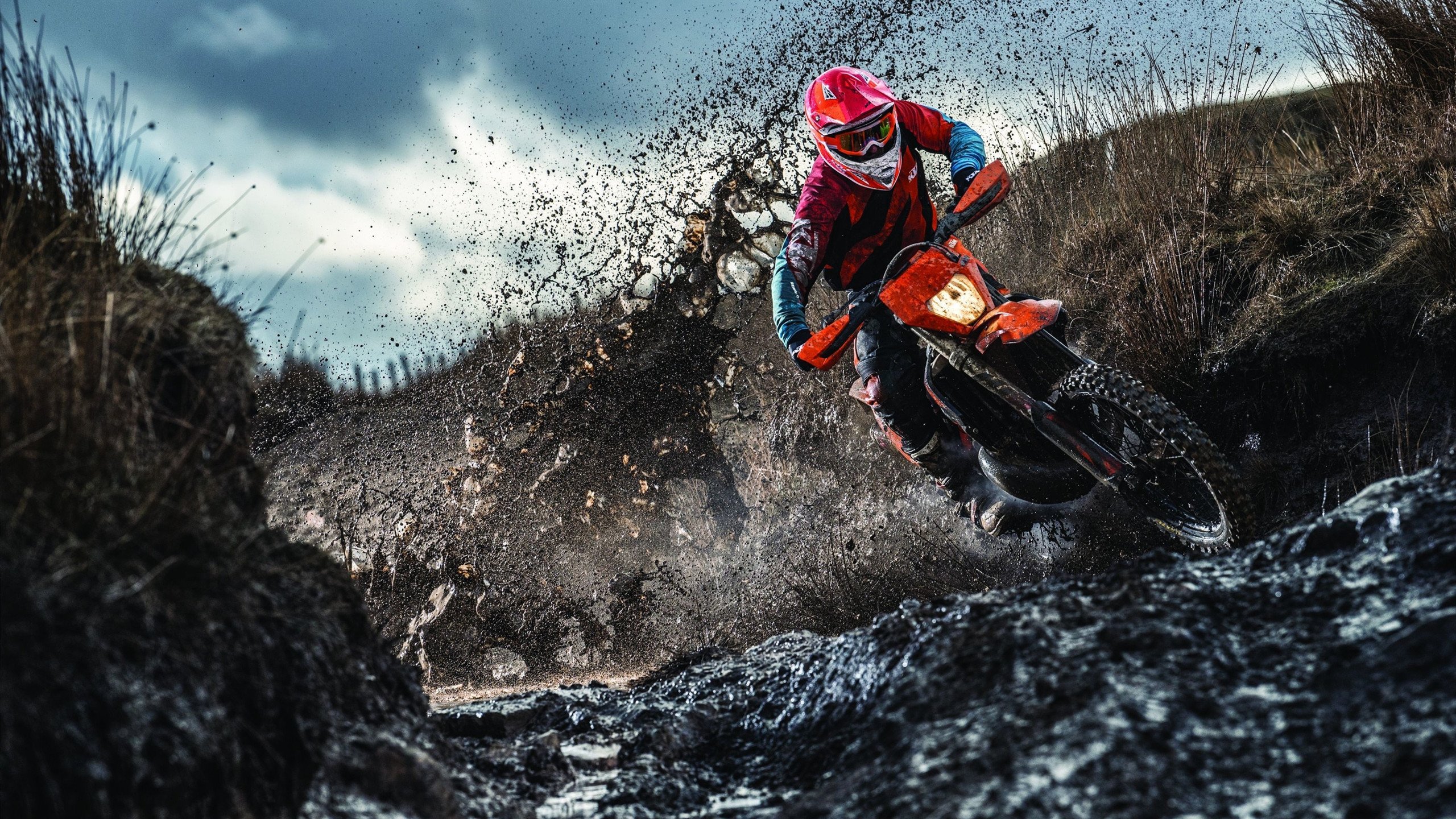 灰熊对阵尼克斯，福克斯如何以一己之力主宰比赛走向